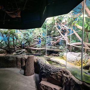 Papua exhibit