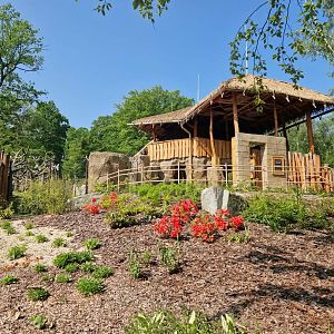 Gibbon/Hog deer exhibit viewing platform