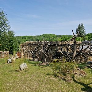Gibbon/Hog deer exhibit