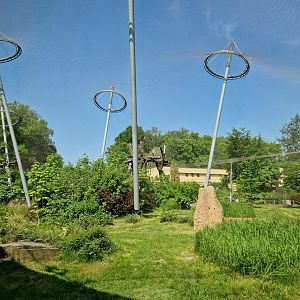 Chimpanzee exhibit/ Pavilion of Evolution