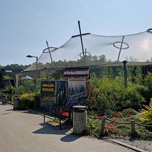 Pavilion of Evolution