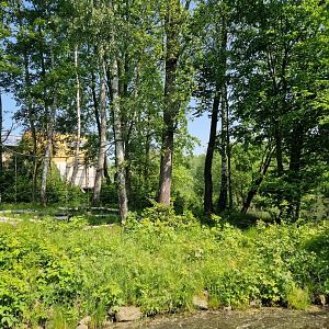 Diana Monkey exhibit, Pavilion of Evolution