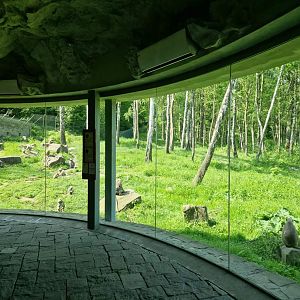 Chitwan viewing window