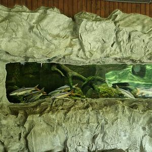 Chitwan Aquarium