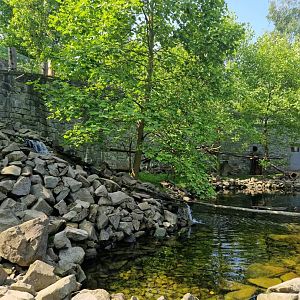 Asian Small-clawed Otter/ Binturong exhibit