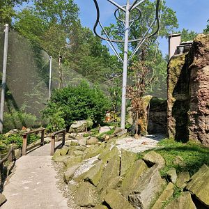 Pampas Walktrough Aviary