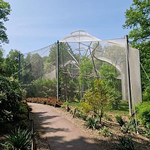 Pampas Walkthrough Aviary