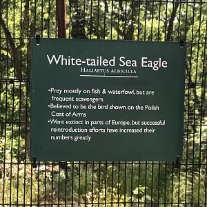 White-tailed Sea Eagle Signage