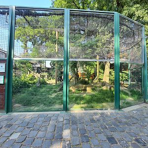 Persian Leopard Exhibit- Budapest Zoo