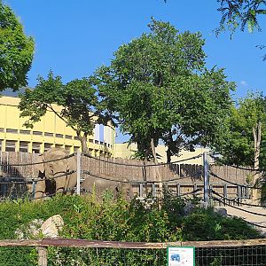Asian Elephant enclosure