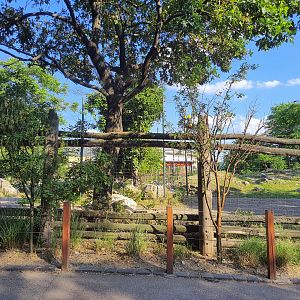 African Savannah enclosure