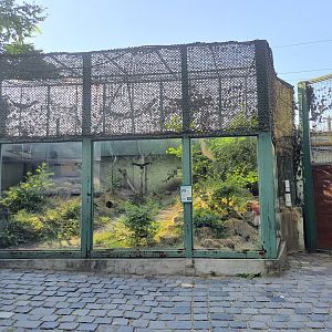 Enclosure for Pallas Cat