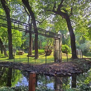 Island enclosure for Yellow-bellied mangabey