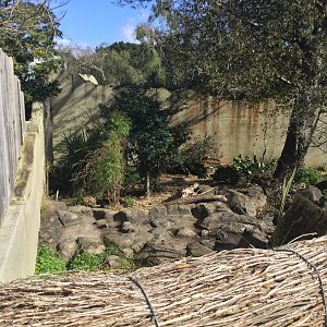 1922 Bear Pit (Side View)