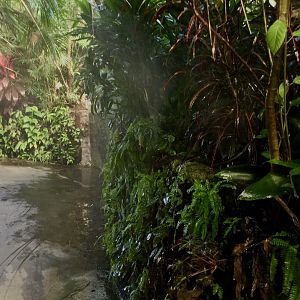 Tropical Dome - Humidity Mist Spray