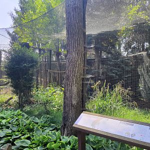 Aviary for Buffy fish owl- Prague Zoo Praha