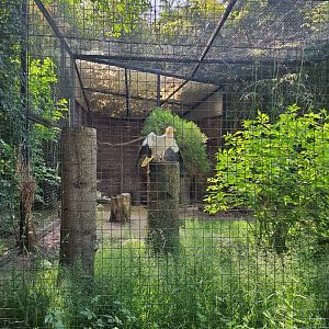 Aviary for Egyptian vultures- Prague Zoo Praha