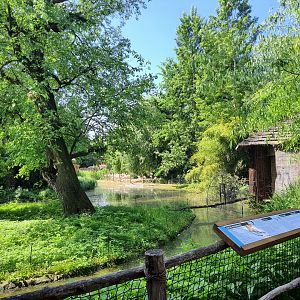 Squirrel monkey island- Prague Zoo Praha