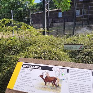 Enclosure for Nile Lechwes- Prague Zoo Praha
