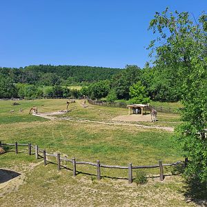 African Savannah exhibit- Prague Zoo Praha