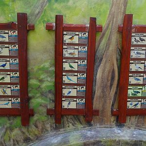 Signage for free-flying birds in the Rainforest Hall of the bird house