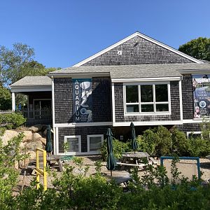 Cape Cod Museum of Natural History Building