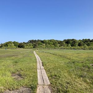 Cape Cod Museum of Natural History Nature Trails