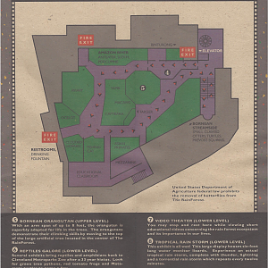 1996 Zoo Guidebook - RainForest Upper Forest