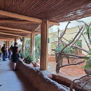 Koala exhibit complex- Tiergarten Schönbrunn