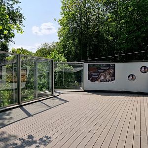 Snow Leopard exhibit viewing platform