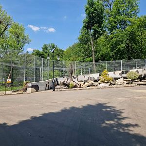 Snow Leopard exhibit