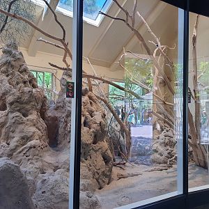 Exhibit in the African House