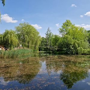 Pilated Gibbon Island