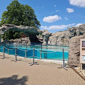 Humboldt penguin exhibit