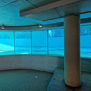 Penguin underwear view