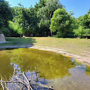 Moat surrounding the South American enclosure- Tiergarten Schönbrunn