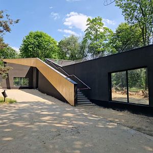 New Lynx/Wolverine exhibit comming soon