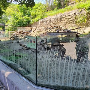 Prairie dog enclosure- Tiergarten Schönbrunn