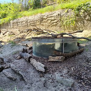 Prairie dog enclosure- Tiergarten Schönbrunn