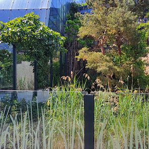 White-nosed coatimundi enclosure- Tiergarten Schönbrunn