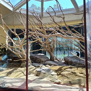 Exhibit for Meerkats and Western black-and-white colobus monkey