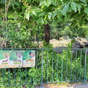 African mixed-species enclosure