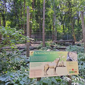 Arctic wolf enclosure