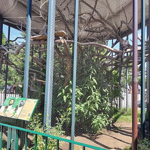 White-faced saki monkey exhibit- Tiergarten Schönbrunn