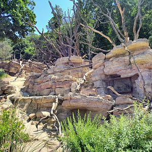 Barbary sheep & Barbary macaque enclosure- Tiergarten Schönbrunn