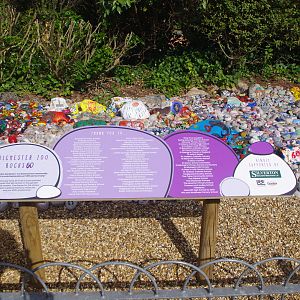 List of schools taking part in the Colchester Zoo Rocks 60 project- Colchester Zoo 2/6/2023