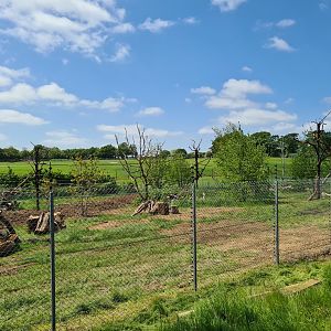 Mixed species exhibit developments