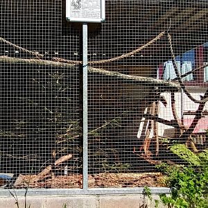 European red Squirrel Enclosure