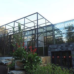 Outdoor wrinkled hornbill, Sclater's crowned pigeon and Common hill myna aviary and Exit of the Orangutan greenhouse, 2022-10-19