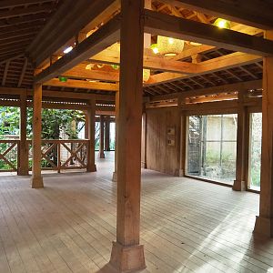 White-cheeked gibbon and Sumatran orangutan viewing areas, 2022-10-19